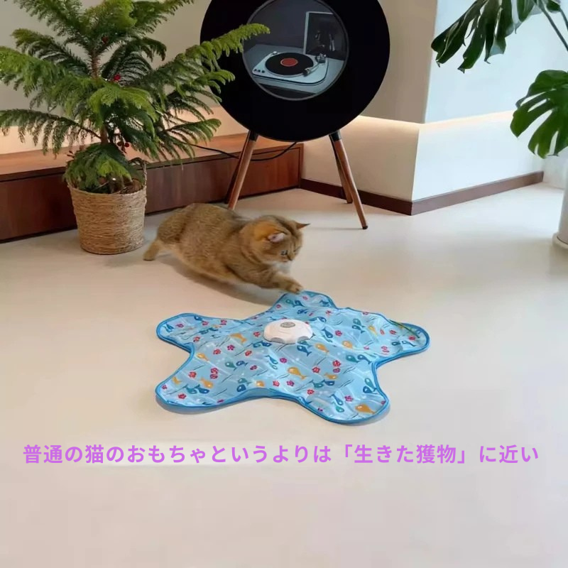 電動 猫じゃらし 自動 猫用おもちゃ 羽根 かくれんぼ