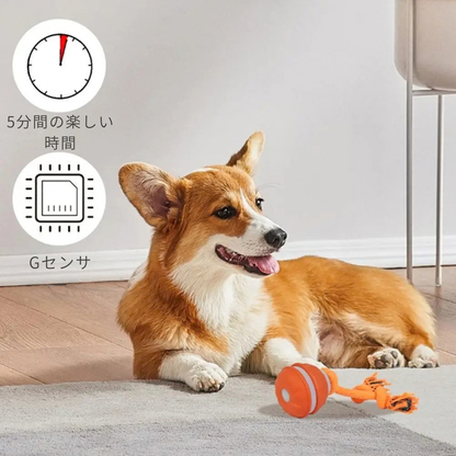 犬用 自動おもちゃ インタラクティブボール USB充電式 留守番 小型犬 中型犬