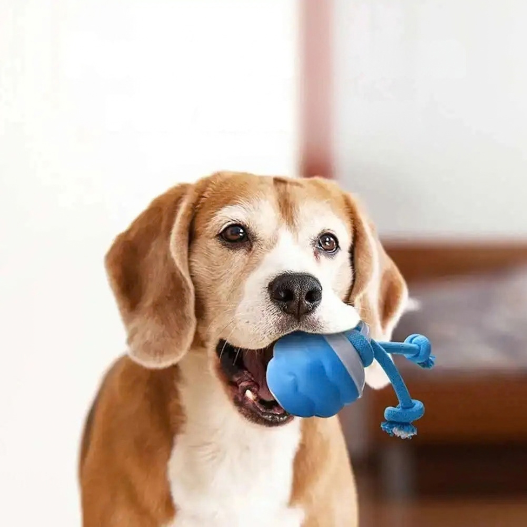 犬用 自動おもちゃ インタラクティブボール USB充電式 留守番 小型犬 中型犬